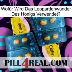 Wofür Wird Das Leopardenwunder Des Honigs Verwendet cialis5